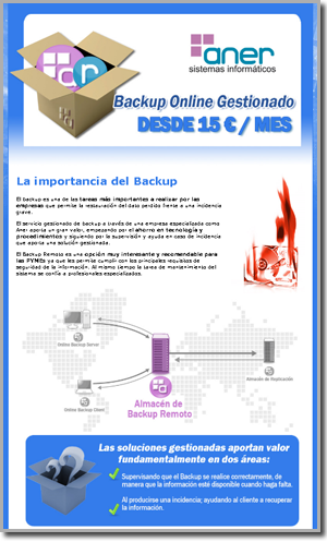 backup-online-gestionado